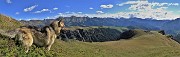 38 Scendiamo a vista dalla cima Mincucco pestando bassa vegetazione cespugliosa